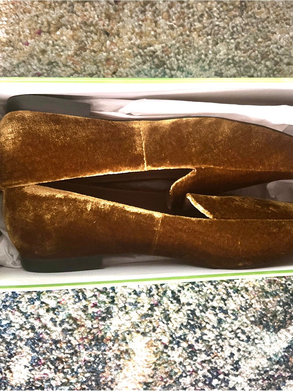 Sam Edelman Black Snake-Embossed Flats Box Art
